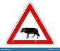 Attention au loup