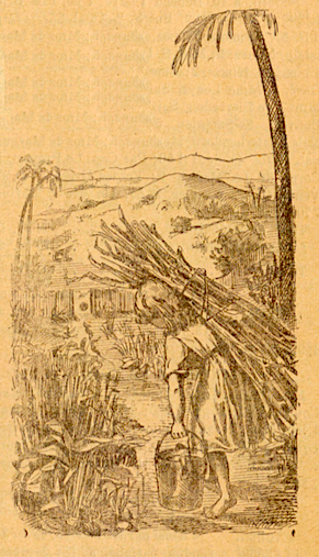 Fillette