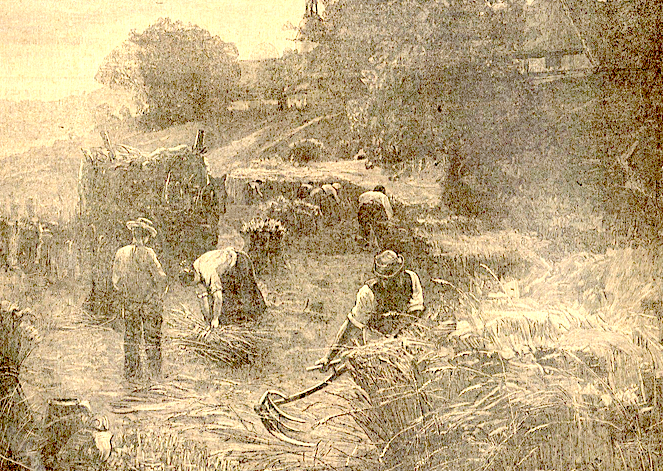 Moissonneurs